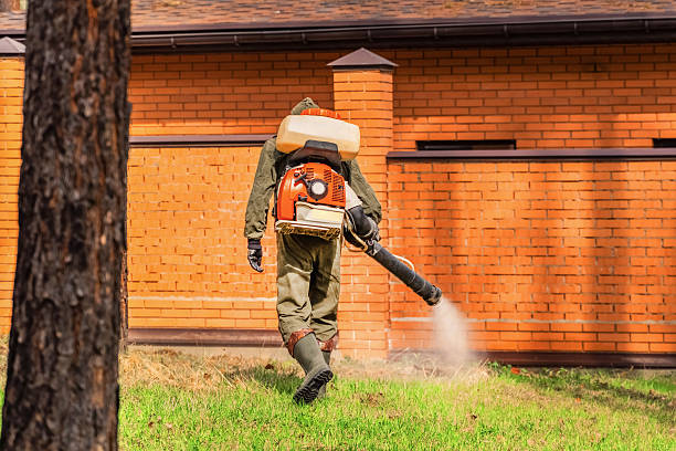 Top rated local Ant Control specialists in Charleston, WV